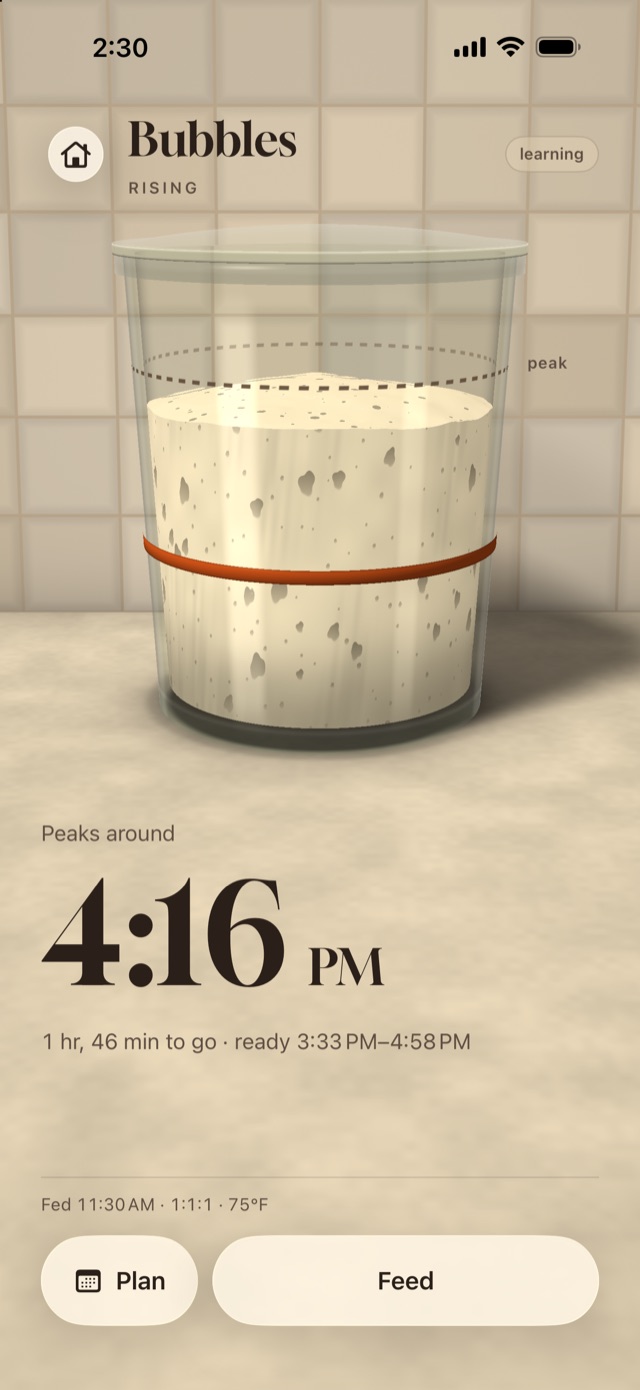 Sourpeak on iPhone: a jar of sourdough starter rising, with its peak time, 4:16 PM.